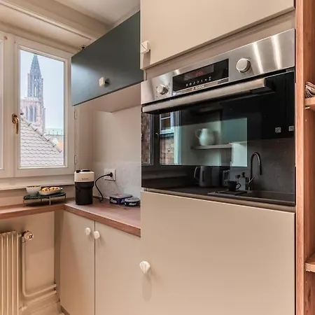 Le Petit Batelier - - Vue Cathedrale Apartment Strasbourg
